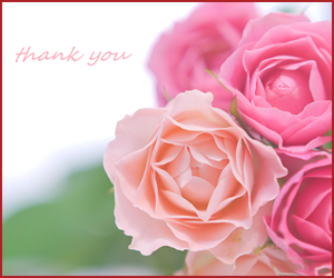 バラの花言葉と植物としての詳細