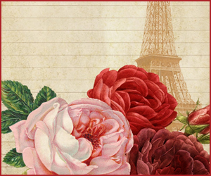 スプレイ系のバラ