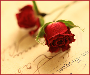 ミニチュアローズ