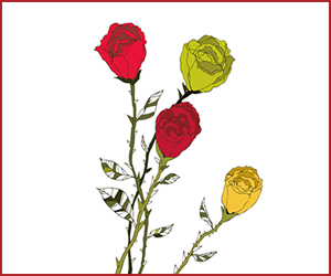 バラに棘があるのはなぜ？